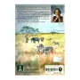 Tales From The Mara