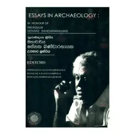 Essays In Archaeology