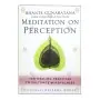 Meditation on Perception