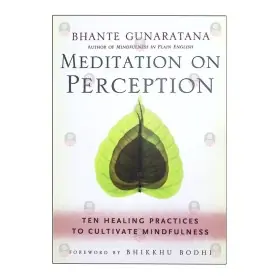 Meditation on Perception