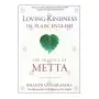 Loving-Kindness in Plain English