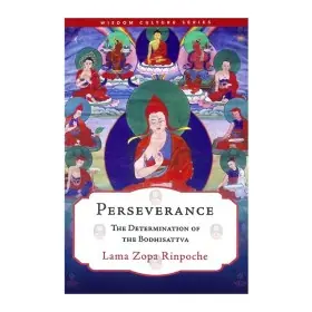 Perseverance