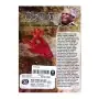 Sithumini | Books | BuddhistCC Online BookShop | Rs 200.00