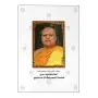 Sanjeevani Sara Sangrahaya Nam Wu Ayurveda Waidya Shabdakoshaya