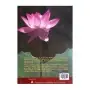 The Jewel Of The Universe | Books | BuddhistCC Online BookShop | Rs&nbsp;250.00