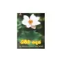 Dhamma Padaya