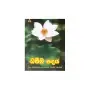 Dhamma Padaya | Books | BuddhistCC Online BookShop | Rs&nbsp;400.00